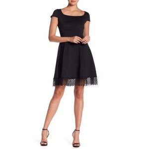 Nwt Donna Ricco NAVY Dotted Crochet Hem Dress